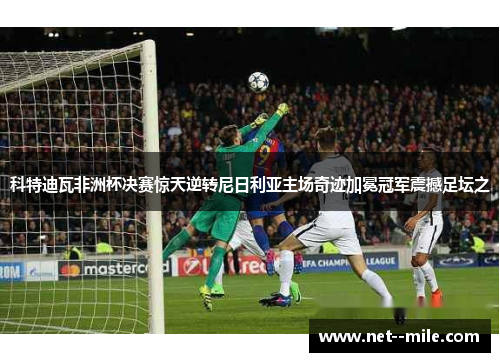 科特迪瓦非洲杯决赛惊天逆转尼日利亚主场奇迹加冕冠军震撼足坛之