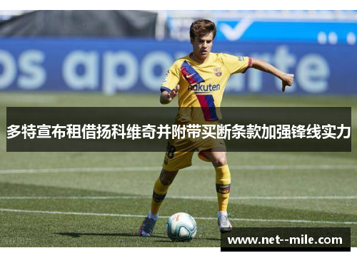 多特宣布租借扬科维奇并附带买断条款加强锋线实力
