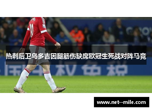 热刺后卫乌多吉因腿筋伤缺席欧冠生死战对阵马竞 热刺后卫乌多吉因腿筋伤缺席欧冠生死战对阵马竞